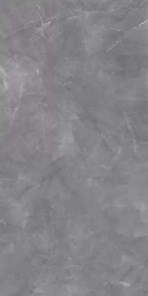 Lasa Grey